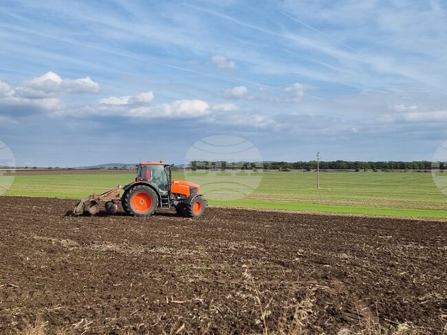 В Ямболско отчитат по-високи средни добиви при слънчогледа, рапицата и житните култури