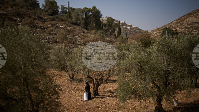 Петима души бяха на Западния бряг заради нападение в което е било ранено палестинско бебе, съобщиха израелските власти