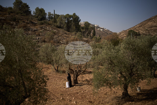 Петима души бяха арестувани на Западния бряг заради нападение в което е било ранено палестинско бебе, съобщиха израелските власти