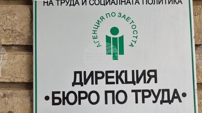 В Бюрото по труда в Монтана са обявени 19 свободни работни места за висококвалифицирани специалисти