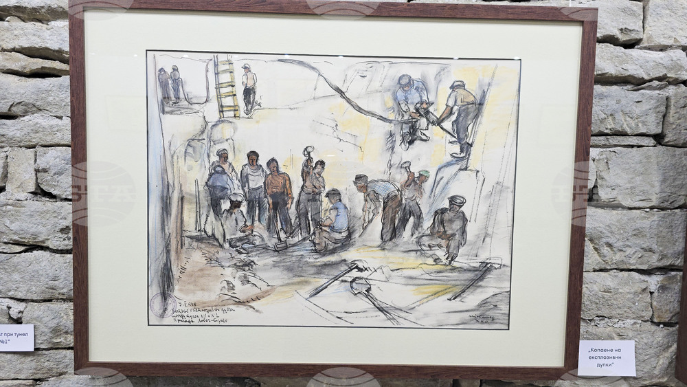 Ловеч - Никола Танев - изложба