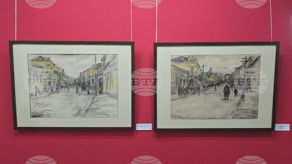 Ловеч - Никола Танев - изложба