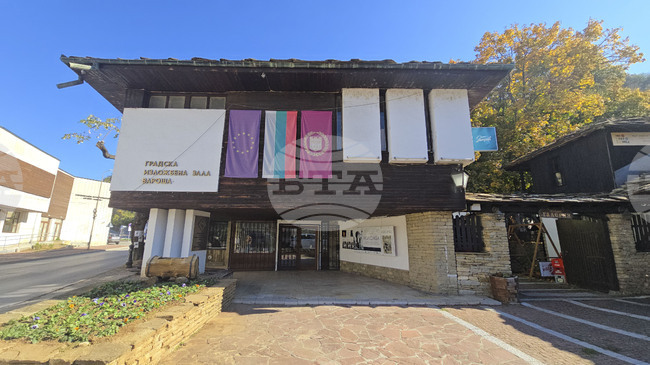 Ловеч - Никола Танев - изложба