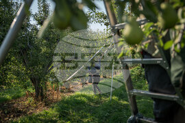 Climate Heat Farmworkers Pregnancy Takeaways