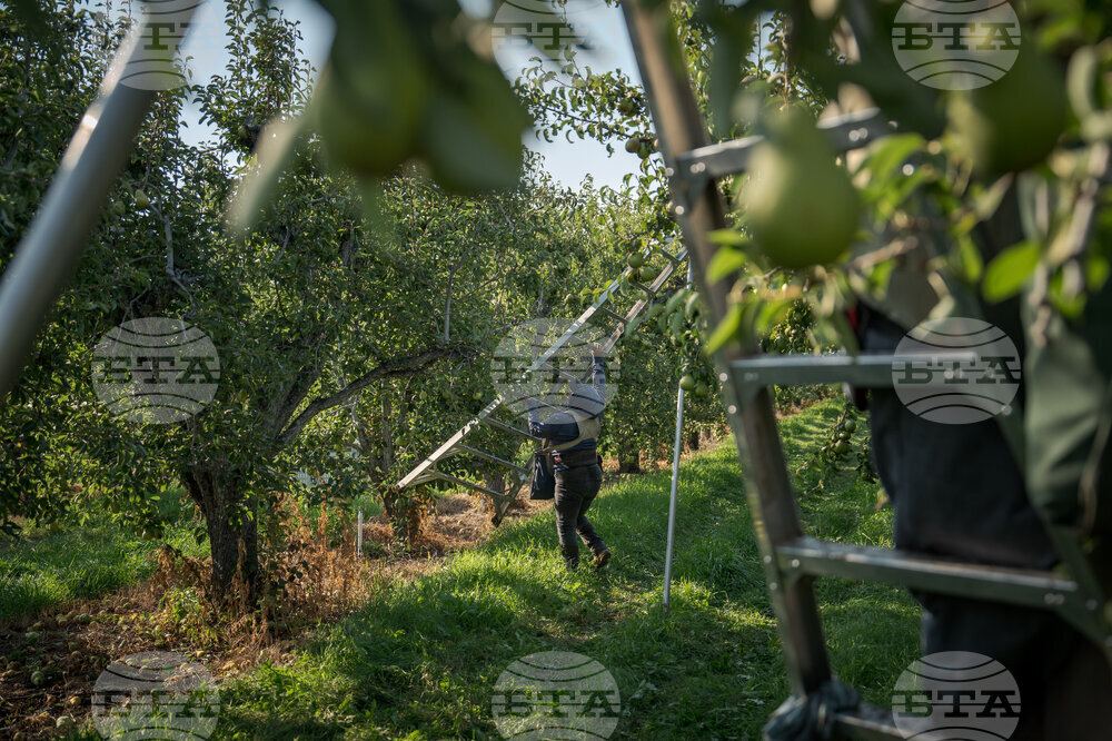 Climate Heat Farmworkers Pregnancy Takeaways