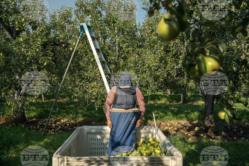 Climate Heat Farmworkers Pregnancy Takeaways