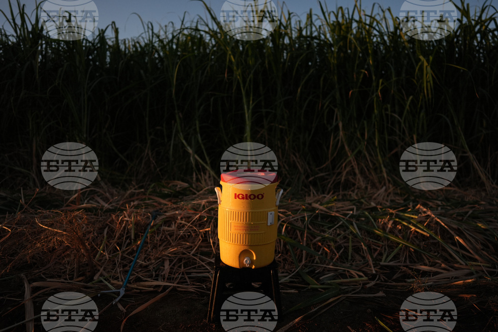 Climate Heat Farmworkers Pregnancy Takeaways