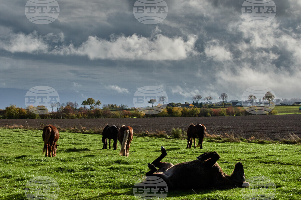 APTOPIX Germany Weather