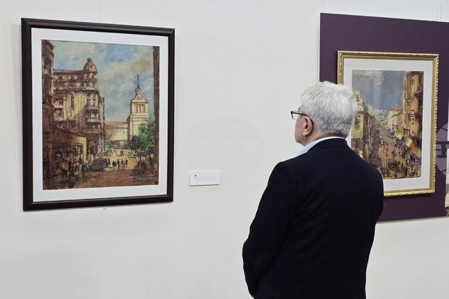 Видин - Владимир Мански - годишнина - изложба