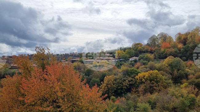 Добри са условията за туризъм по планините, но по билата има заледявания, съобщиха от Планинската спасителна служба на БЧК