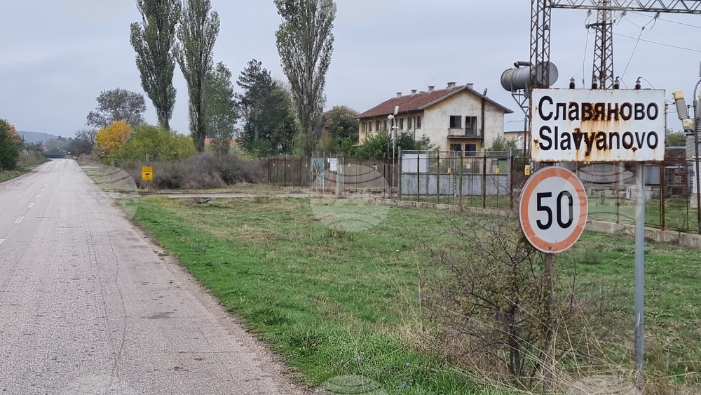 Случай на антракс е потвърден в животновъдна ферма в харманлийското село Славяново