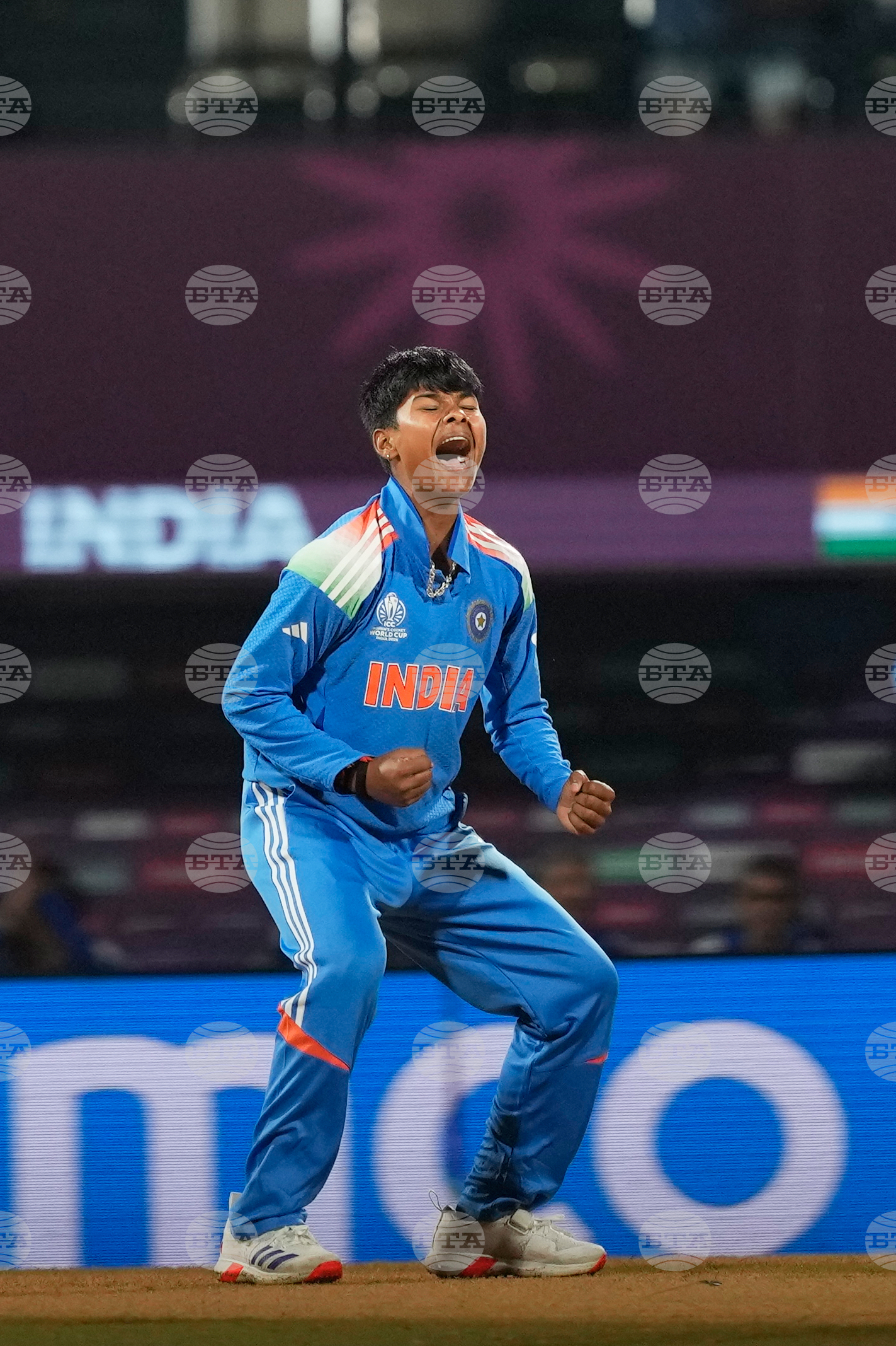 India Women's Cricket WCup