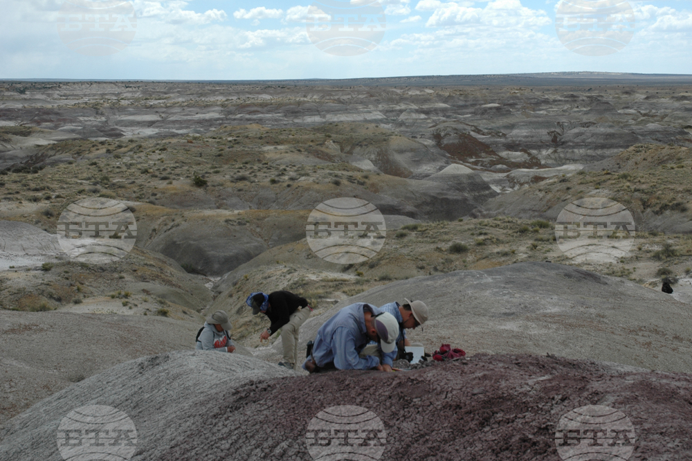 Череп на едно от първите растителноядни животни е намерен в Канада