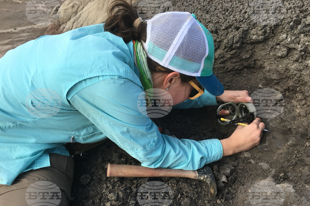 Палеонтолози откриха нов вид динозавър с бодли в Китай