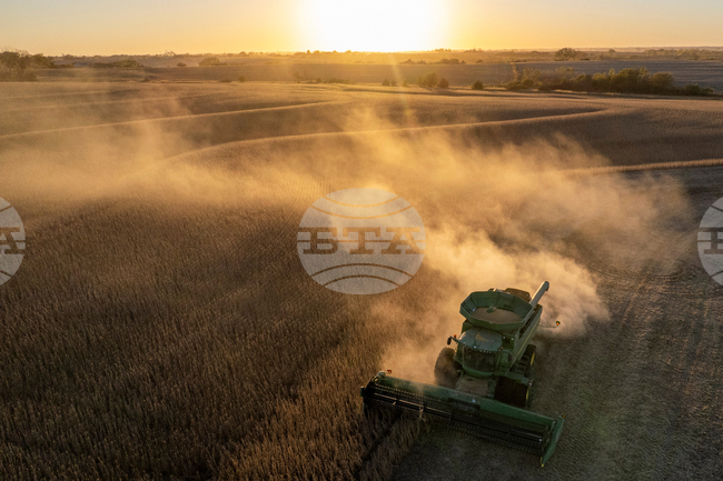 Nebraska Soybean Harvest