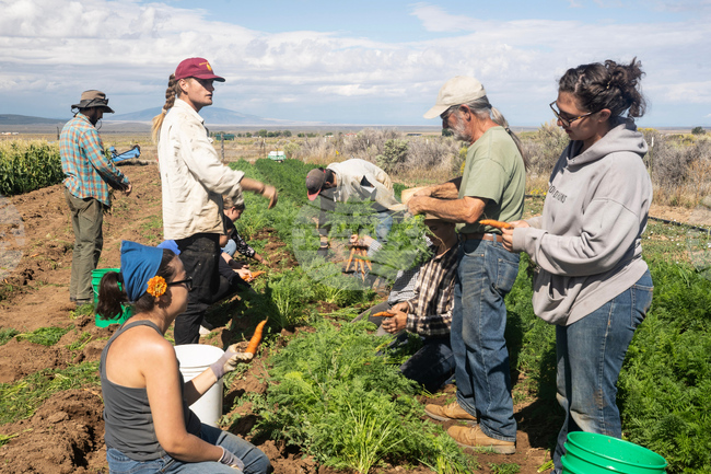 Farm Program Youth