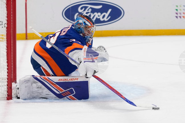 Red Wings Islanders Hockey