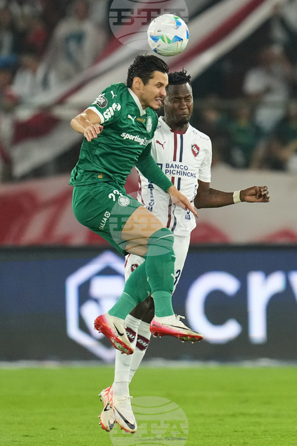 Ecuador Brazil Soccer Copa Libertadores