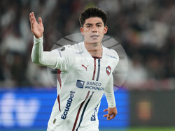 Ecuador Brazil Soccer Copa Libertadores