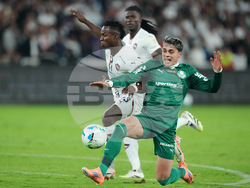 Ecuador Brazil Soccer Copa Libertadores