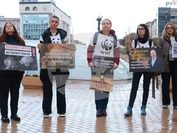 WWF България - публично внасяне на петиция