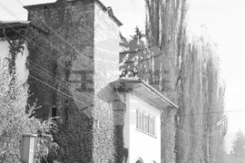 Град Тетевен в снимки през 1960 година.