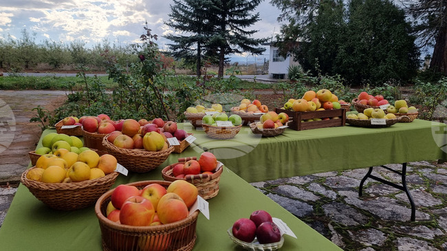 Браншовата камара "Плодове и зеленчуци" настоява за яснота и предвидимост в държавния бюджет за сектор "Земеделие"