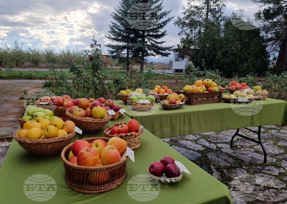 Браншовата камара "Плодове и зеленчуци" настоява за яснота и предвидимост в държавния бюджет за сектор "Земеделие"