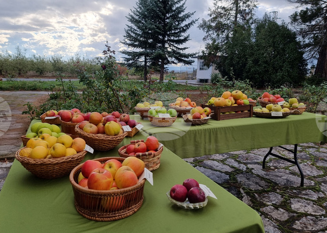 Браншовата камара "Плодове и зеленчуци" настоява за яснота и предвидимост в държавния бюджет за сектор "Земеделие"