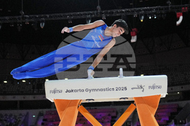Indonesia Gymnastics World