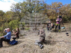 Снимка: Фондация „По-диви Родопи"