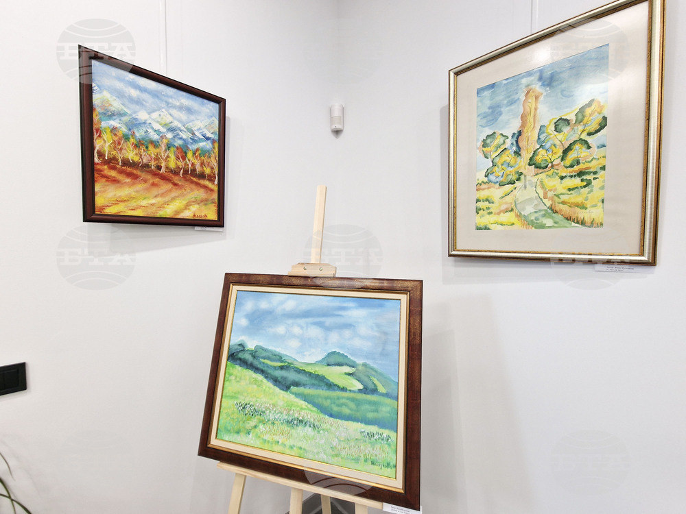 Перник - изложба - „Изкуство от сърцето на Радомир“