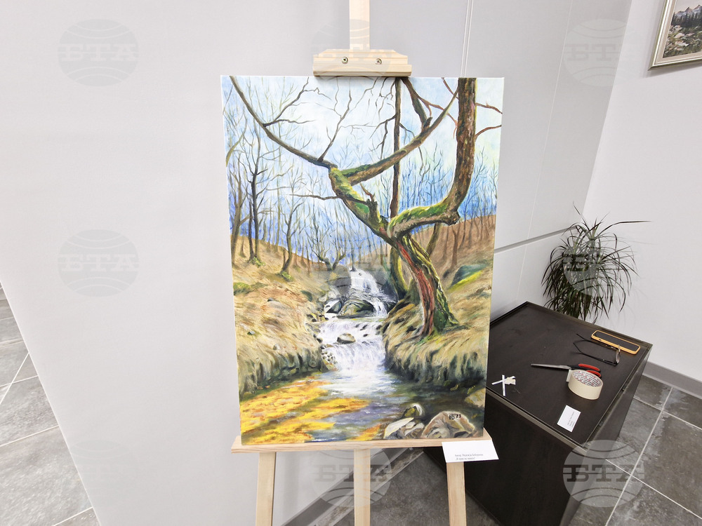 Перник - изложба - „Изкуство от сърцето на Радомир“