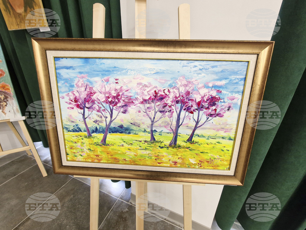 Перник - изложба - „Изкуство от сърцето на Радомир“