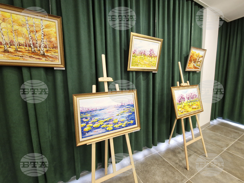 Перник - изложба - „Изкуство от сърцето на Радомир“