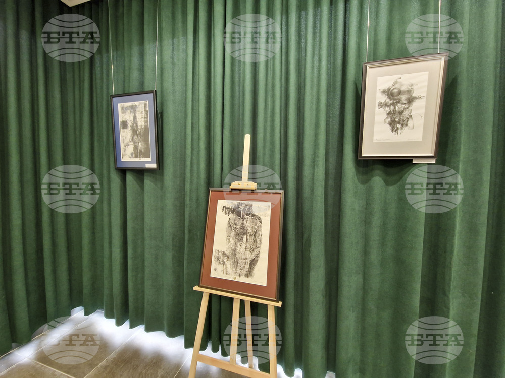 Перник - изложба - „Изкуство от сърцето на Радомир“