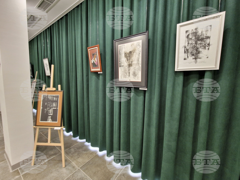 Перник - изложба - „Изкуство от сърцето на Радомир“