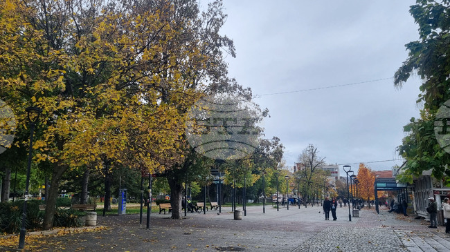 На пазара на труда в област Търговище се търсят десет висшисти с различни специалности