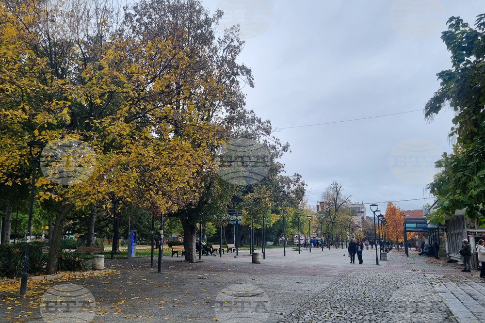 На пазара на труда в област Търговище се търсят десет висшисти с различни специалности
