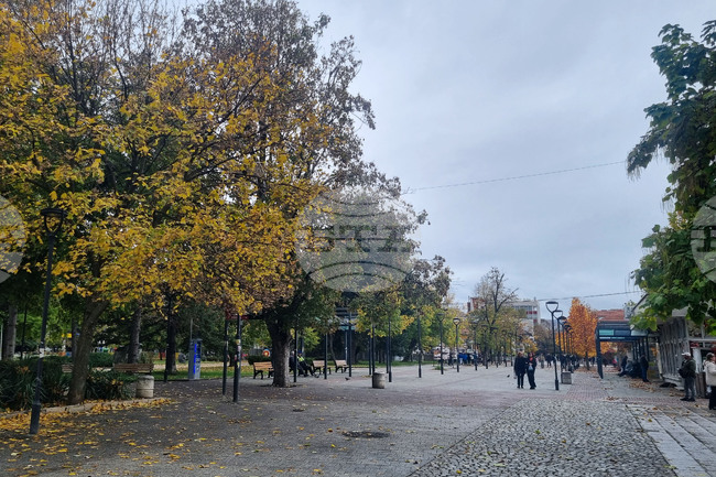 На пазара на труда в област Търговище се търсят десет висшисти с различни специалности