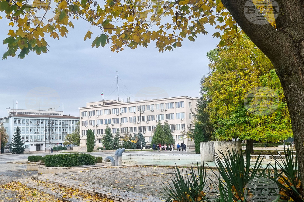 Повечето свободни работни места за висшисти в област Търговище са по Закона за хората с увреждания 