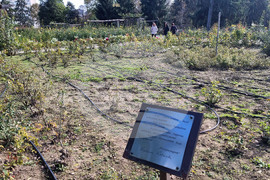 Добрич - цветя - център - парк