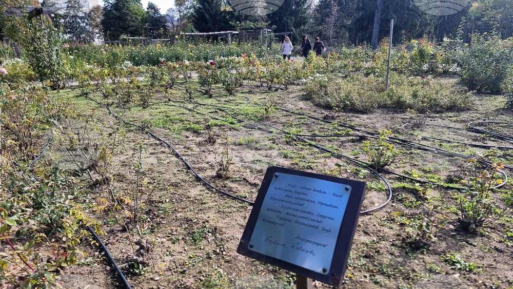 Добрич - цветя - център - парк