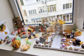 Пазарджик - изучаване на природата - ученици