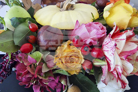 Пазарджик - изучаване на природата - ученици