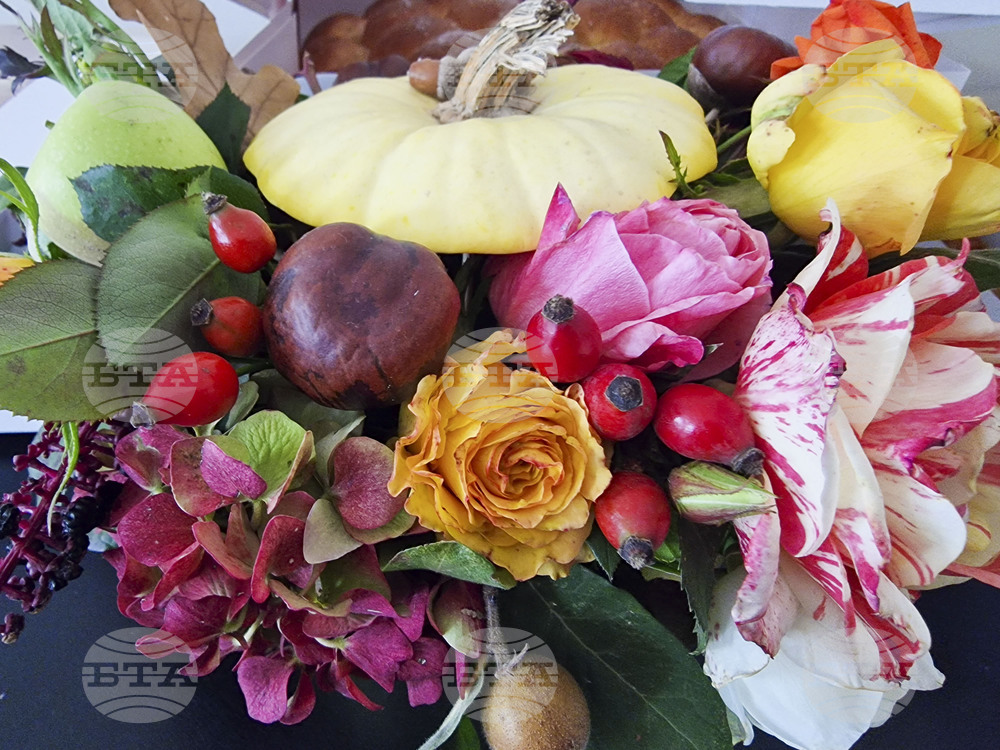 Пазарджик - изучаване на природата - ученици