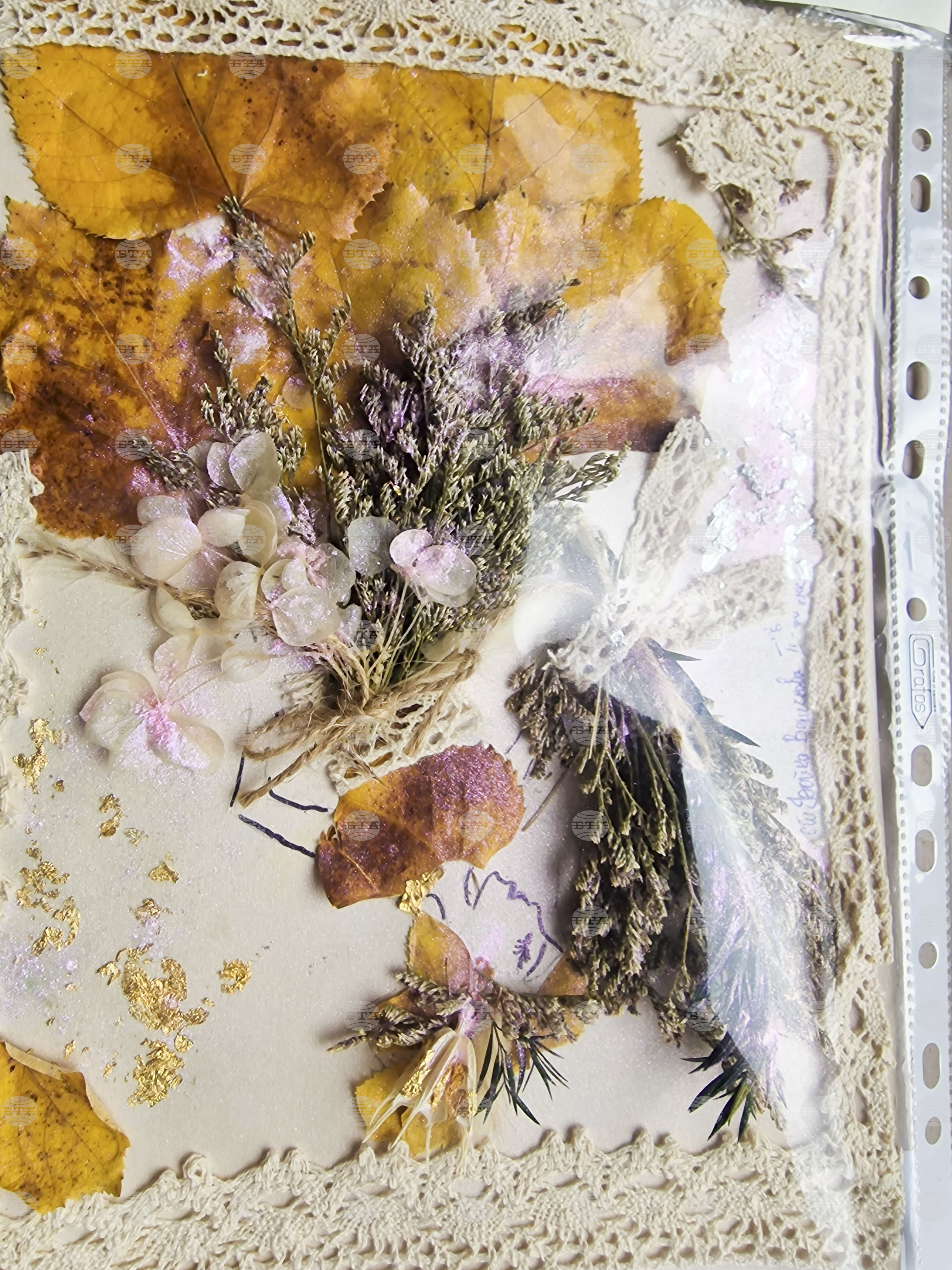 Пазарджик - изучаване на природата - ученици