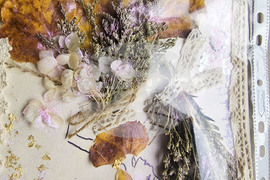 Пазарджик - изучаване на природата - ученици