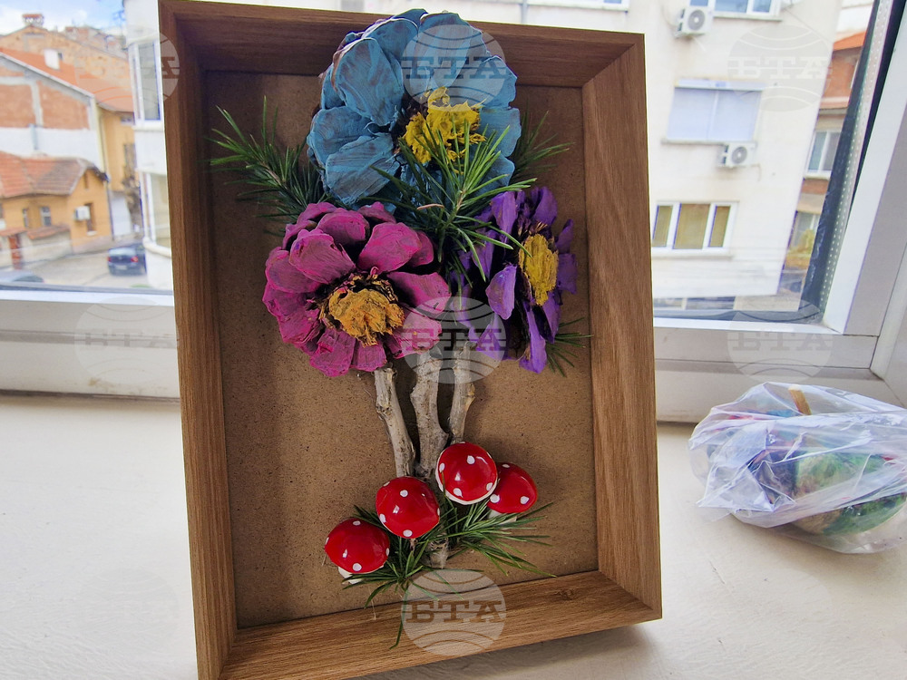 Пазарджик - изучаване на природата - ученици