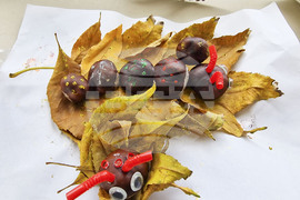 Пазарджик - изучаване на природата - ученици